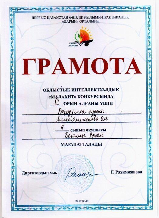 Наши достижения 2018-2019 учебный год